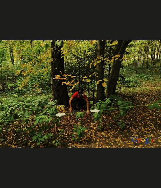 Cach&eacute; dans la for&ecirc;t