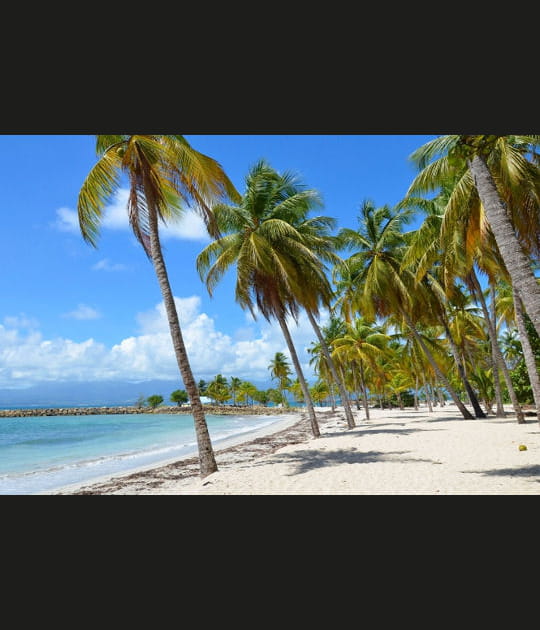 La Guadeloupe, l'&icirc;le aux Belles Eaux