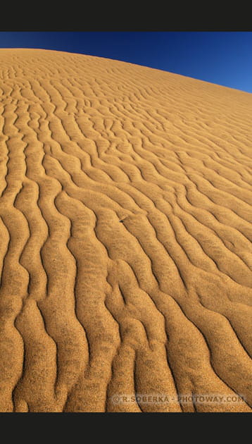 Exp&eacute;riences personnelles