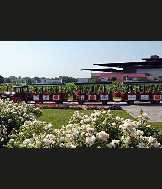 Le petit train