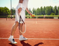 Tennis : Tournoi ATP de Rotterdam