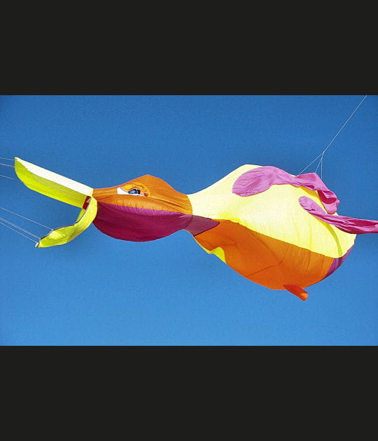 Le canard volant