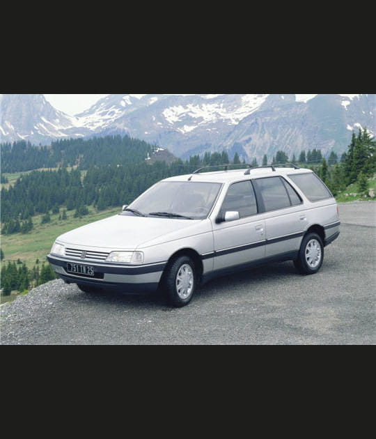 1988&nbsp;: Peugeot 405