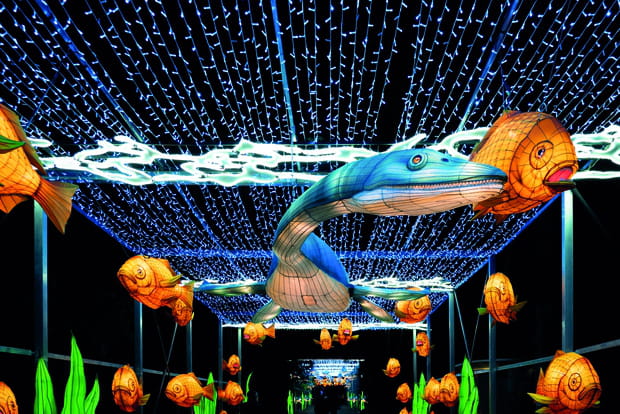 Jurassique en voie d'illumination au Jardin des Plantes