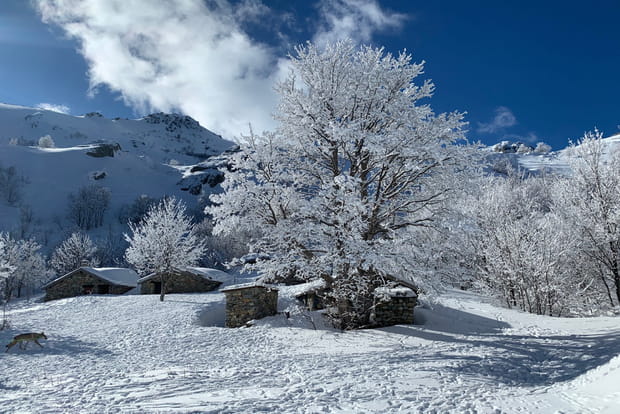 Le domaine skiable de Ghisoni en Corse, pour les sports l'hiver