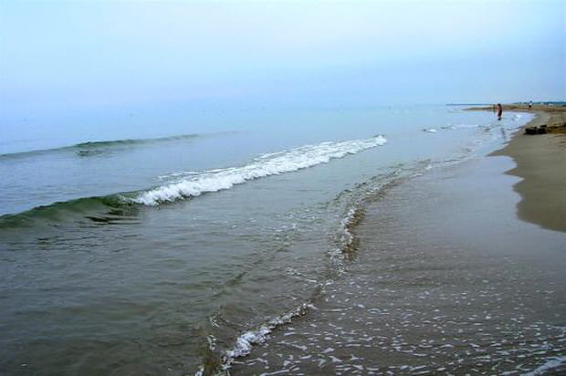 Une plage bien agréable