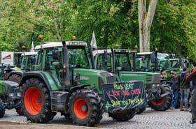 Mobilisation des agriculteurs&nbsp;: blocages, actions en supermarch&eacute;... &Agrave; quoi faut-il s'attendre le 26&nbsp;septembre&nbsp;?