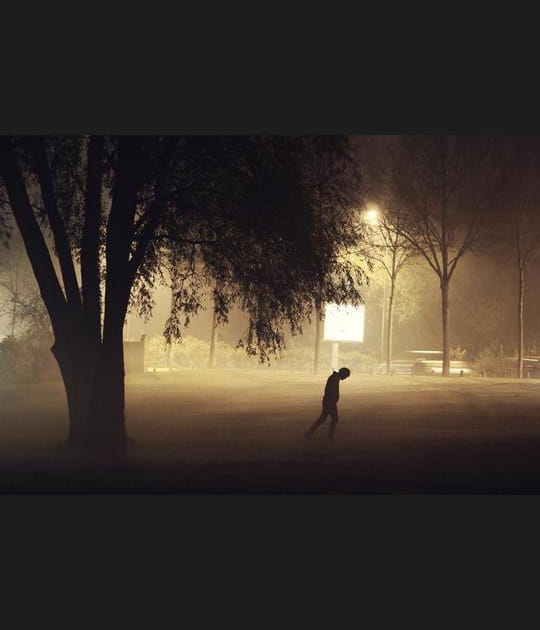 Le marcheur solitaire