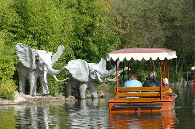 Adventure Jungle
