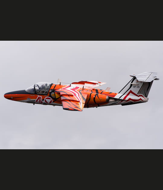 Le tigre autrichien