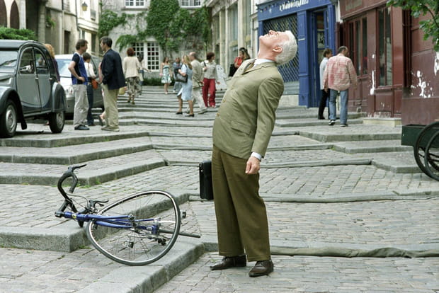 La Panthère Rose (2006)