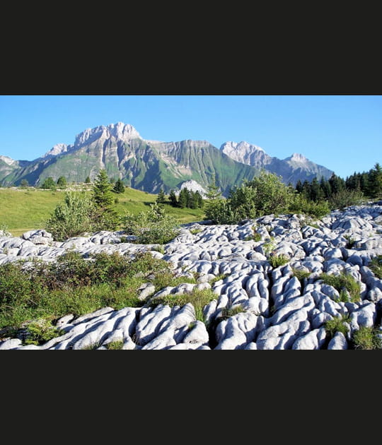 Les lapiaz de Mont-Saxonnex