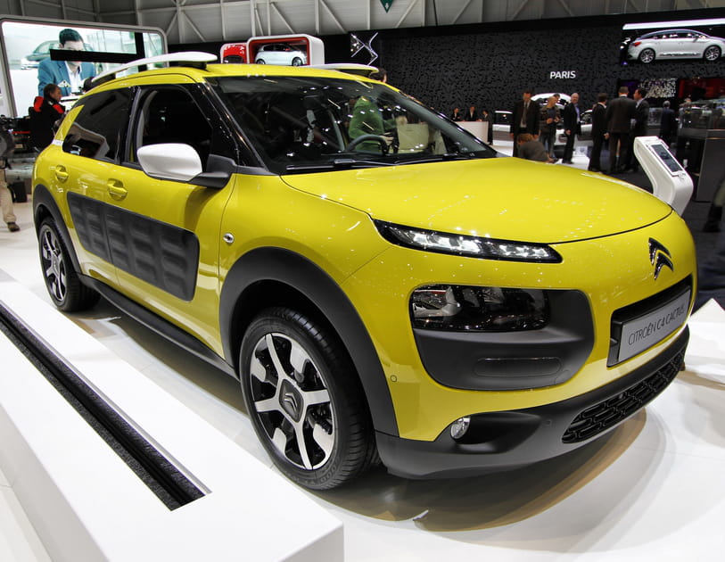 Citro&euml;n C4&nbsp;Cactus