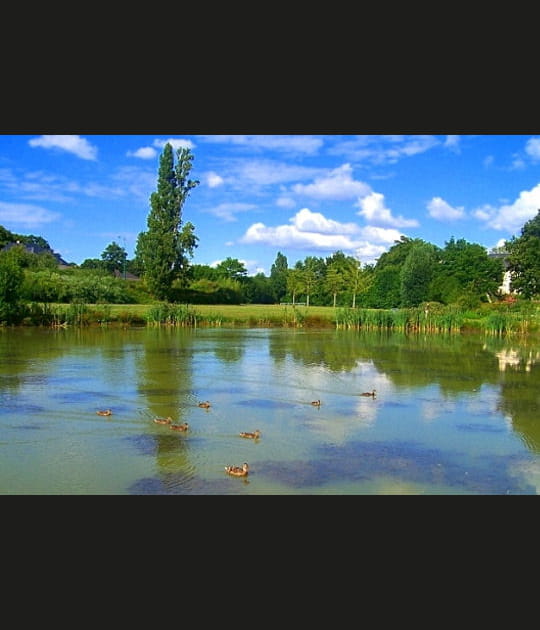 La Mayenne