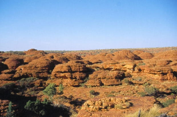 Paysage typique du Bush à Kings Canyon