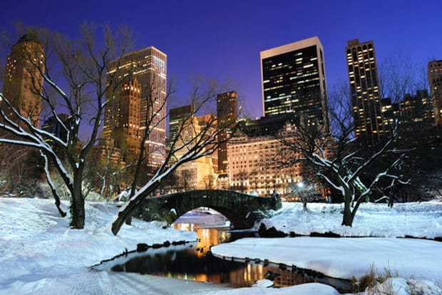 Central Park sous la neige