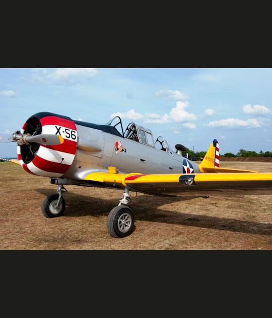 Fox-Alpha-Zoulou-Mike-Papa, le T-6&nbsp;gris