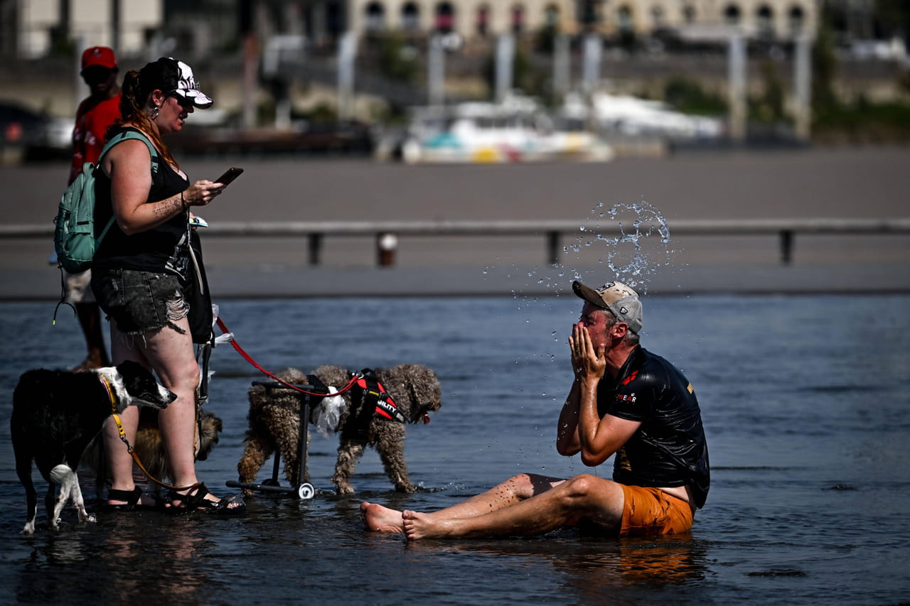 Canicule : 12 départements en alerte ce lundi, jusqu'à 38°C attendus