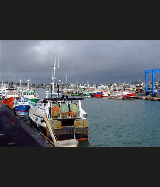 Dans le port du Guilvinec