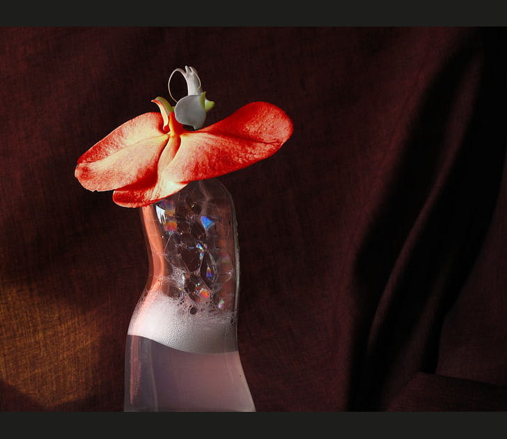 La dame au chapeau rouge