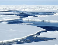 Ushuaïa nature : La dernière frontière : Alaska