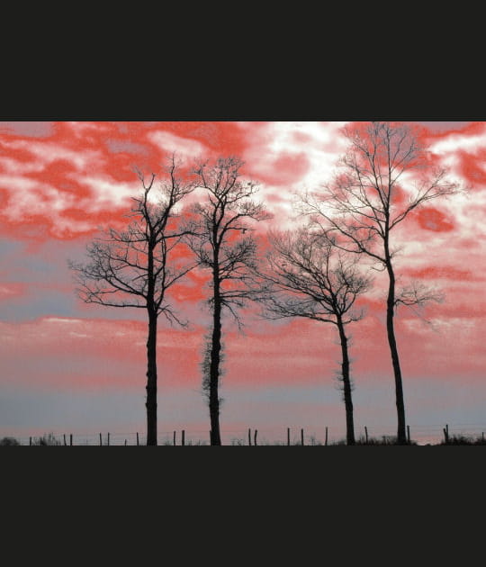 Cr&eacute;puscule en rouge et blanc