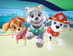 Paw Patrol, la Pat'Patrouille