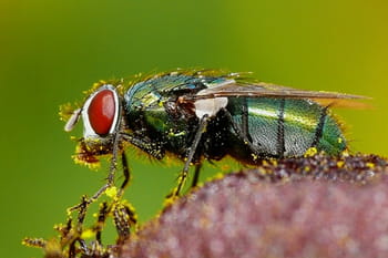 Vos meilleures images de l'été 2010