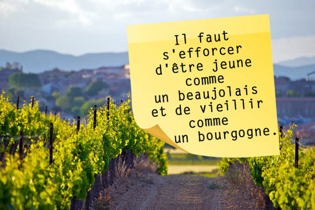 Le vin français vu par Robert Sabatier