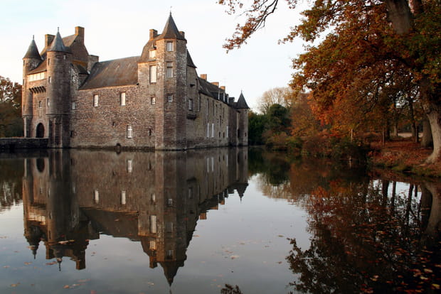 La forêt de Brocéliande, sur les traces de Merlin à la Toussaint