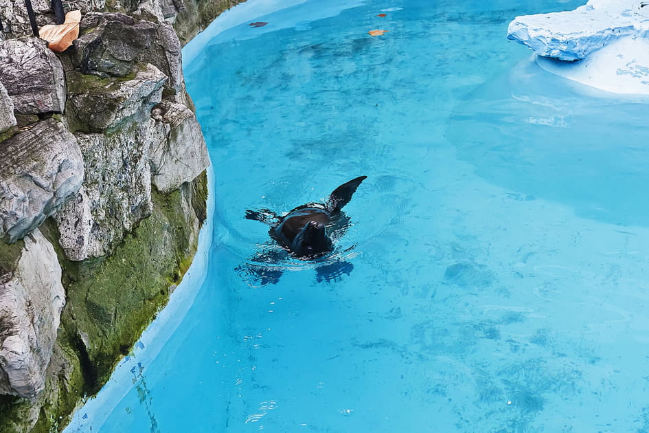 Le zoo de Belgrade
