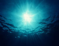 Trésors sous les mers : Les mystères de la mer de Chine