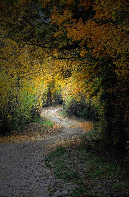 Sentier lumineux