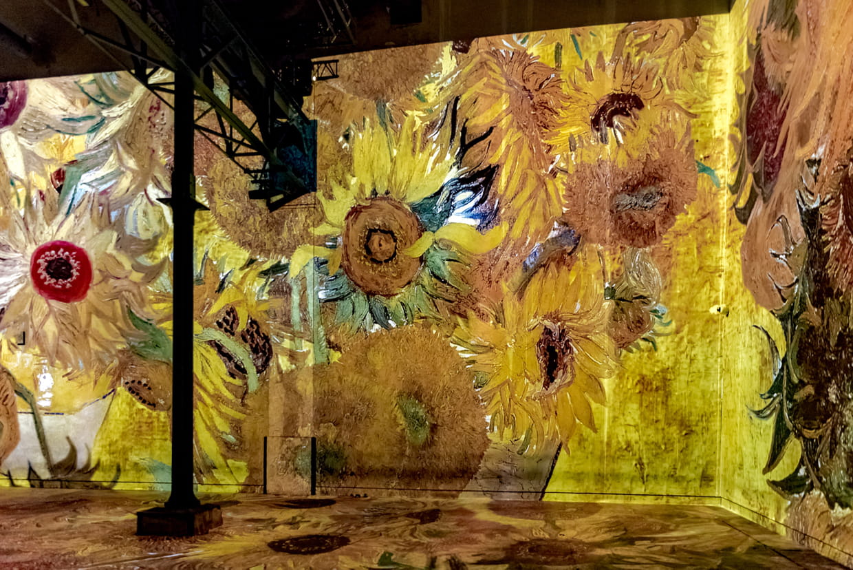Les Tournesols Van Gogh Musée "Tournesols"