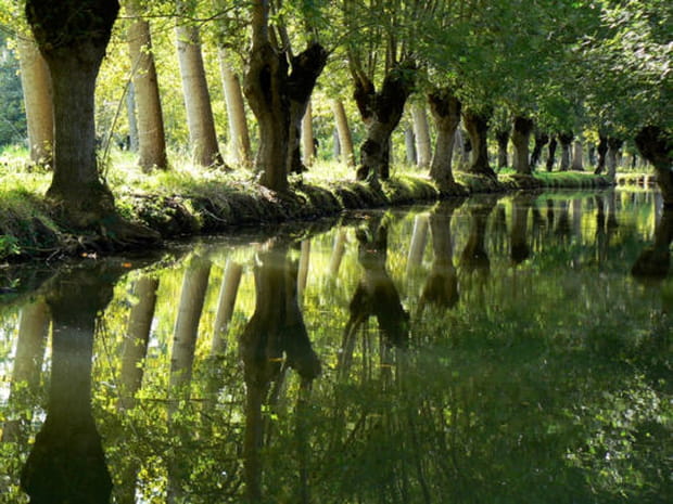 Le Marais poitevin