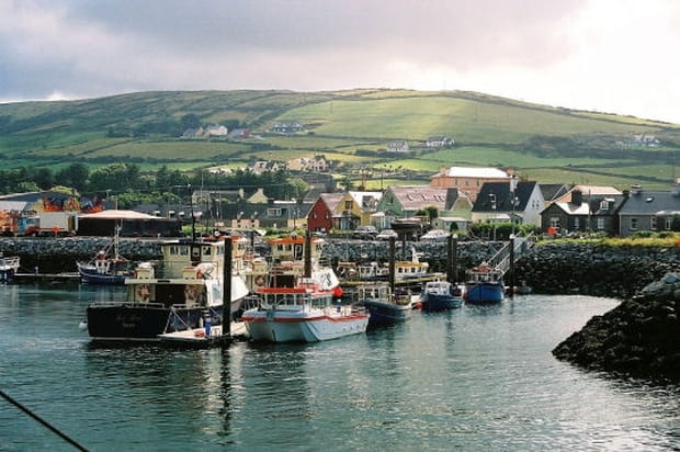 Le port de Dingle