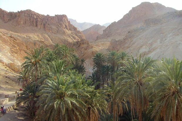 Chebika, une oasis au Sahara