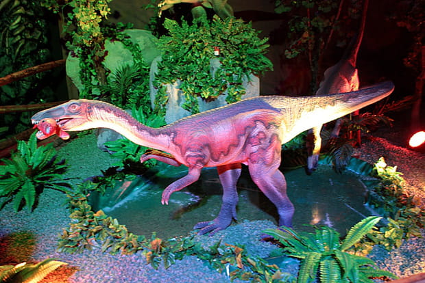 Le concours des paléontologues