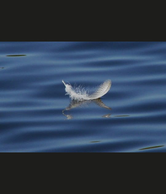 Si l&eacute;g&egrave;re