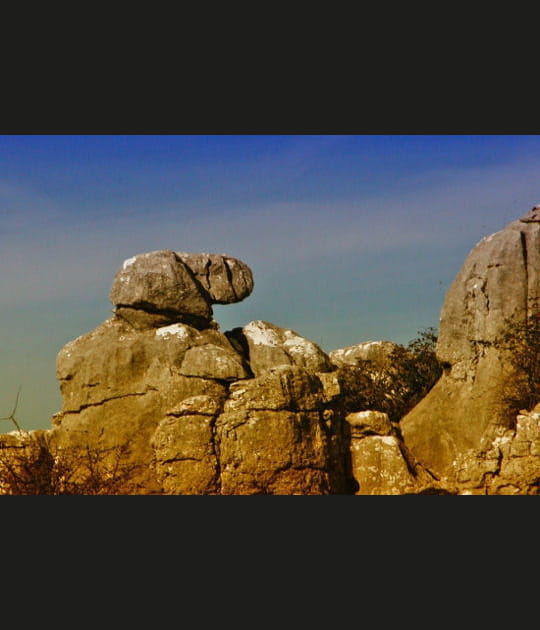 La marmotte