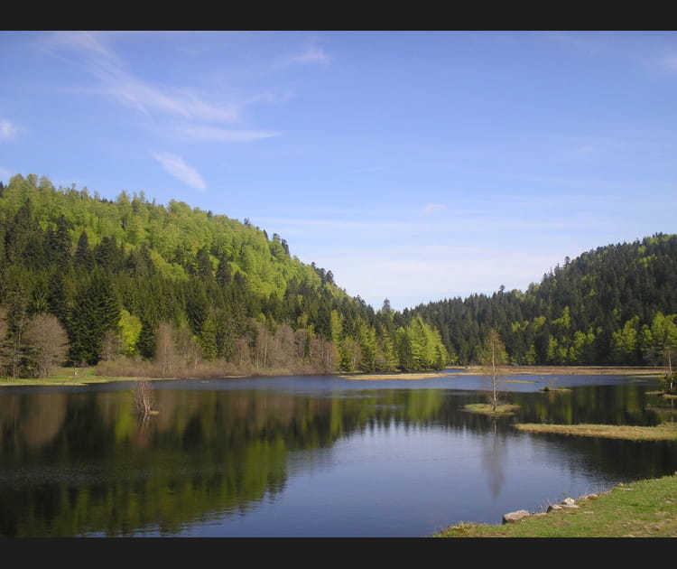 Des airs de Canada au lac de Lispach