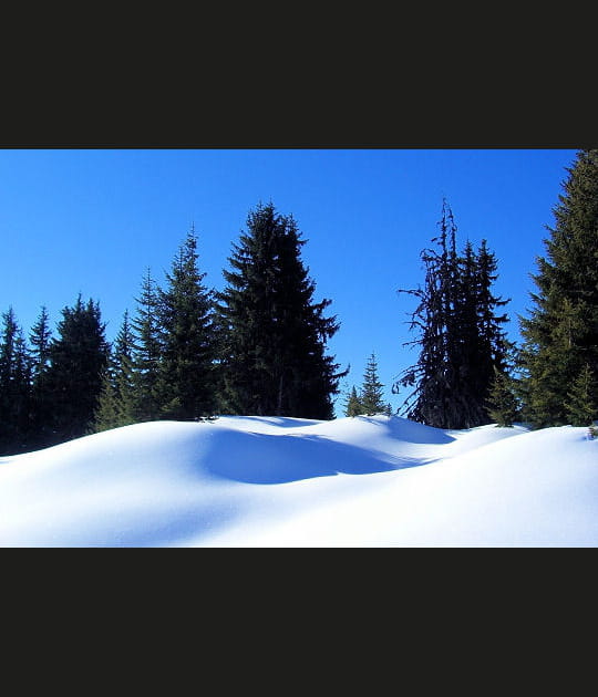 Neige vierge de toute tra&ccedil;e