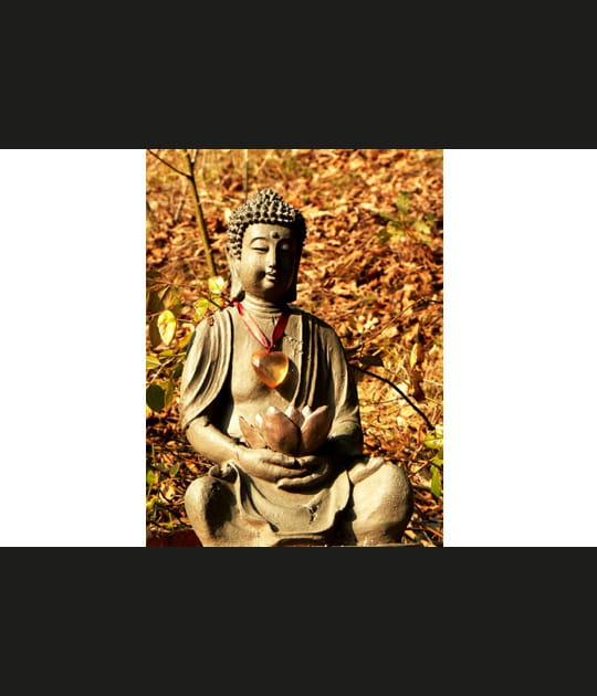 Le c&oelig;ur de Sakyamuni