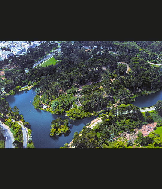 La nature urbanis&eacute;e