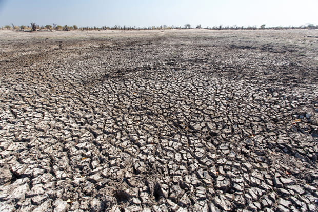 La réserve naturelle de Moremi