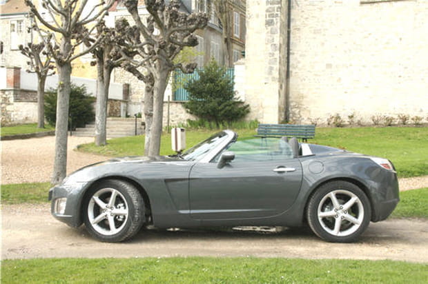 Large et au ras du sol