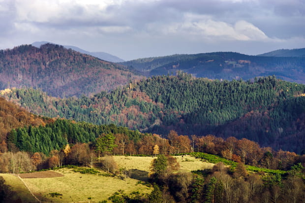 Le Sentier des Roches dans les Vosges