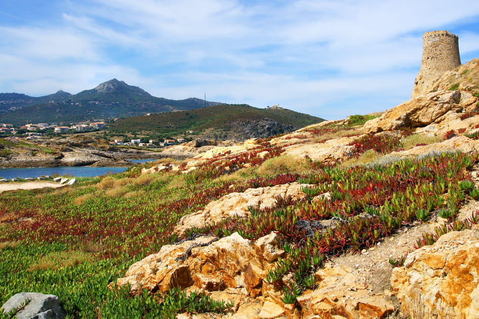 L'&Icirc;le Rousse