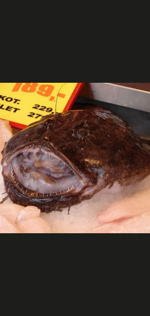 Le monstre des abysses