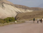 Marche à l'étoile